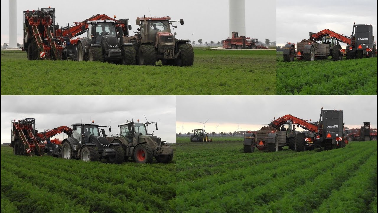 Worteloogst in de Flevopolder  Harvesting carrots Valtra, Case en Fendt in de wortels