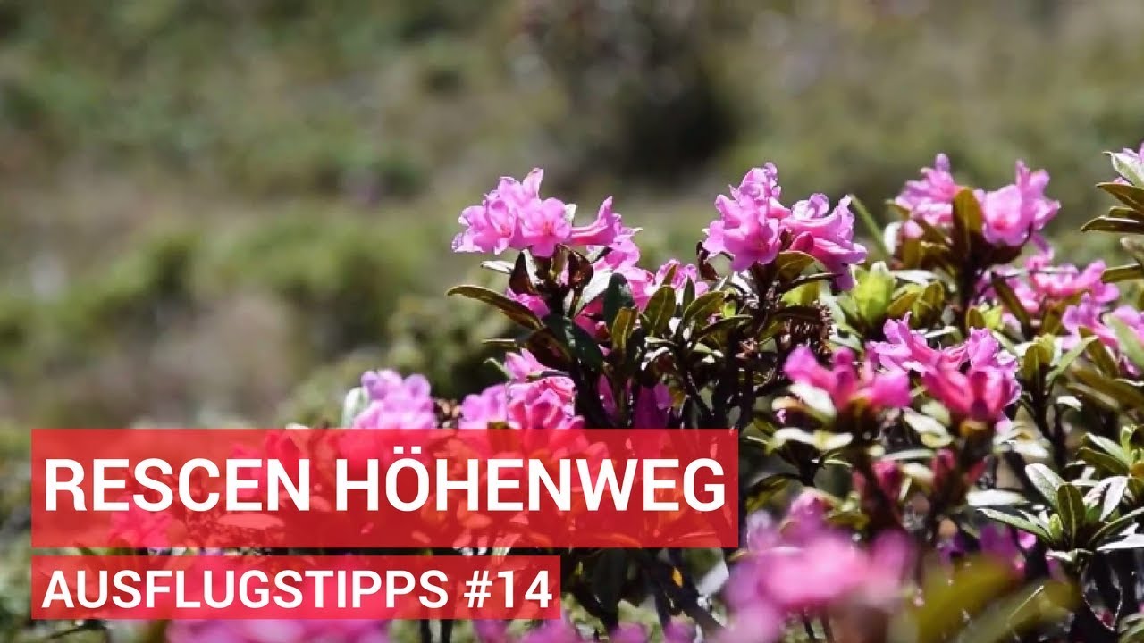 Ausflugstipps #14 - Reschen Schöneben Höhenweg
