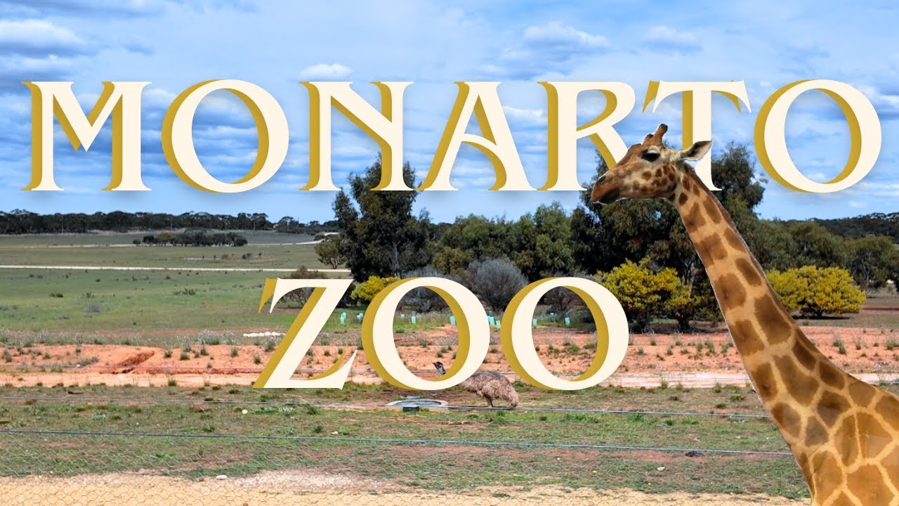 Date at Monarto Zoo - did we see all the animals?