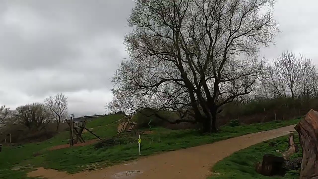 Bedfont Lakes parkrun 1st April 2023