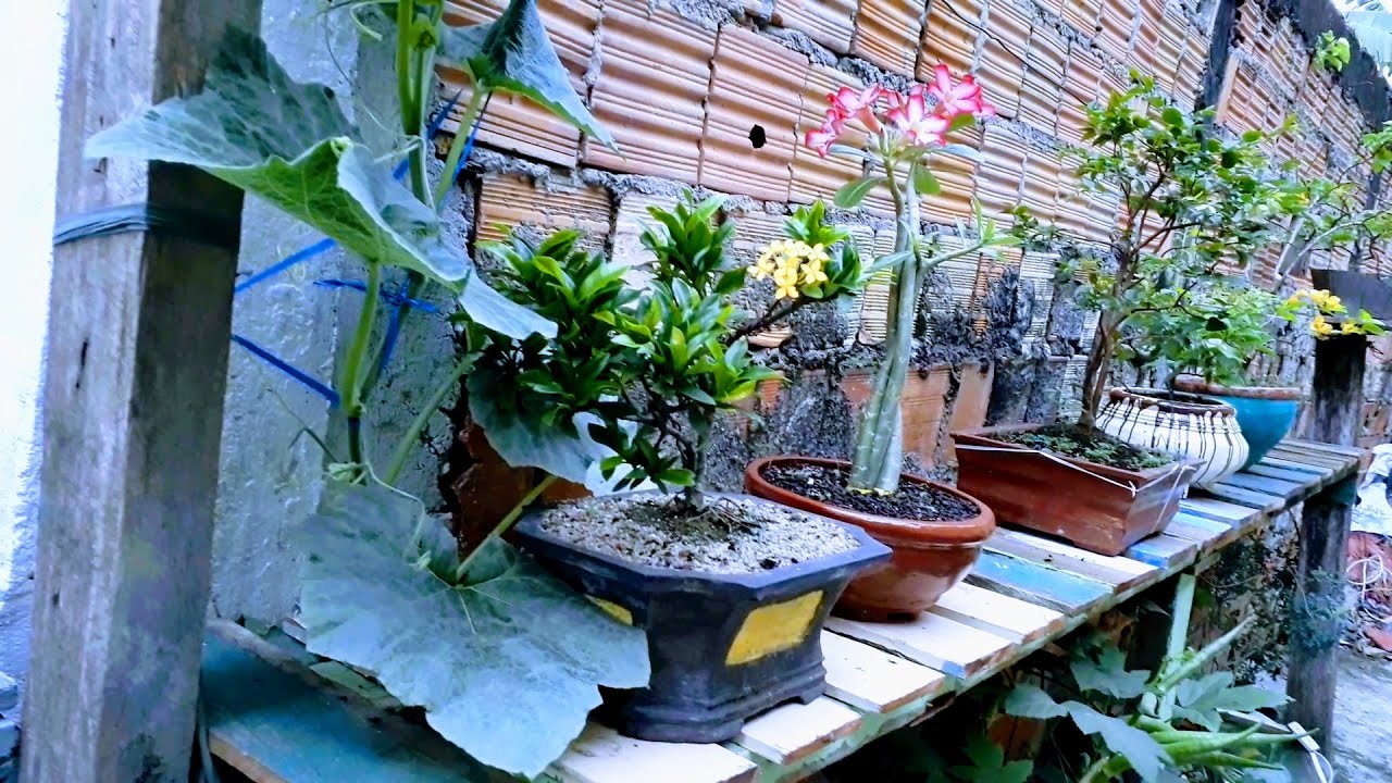 Bancada para plantas com madeira reciclada