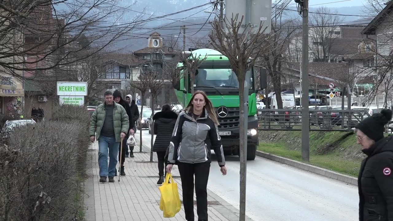 PRILOG VRT - OREZIVANjE KUGLASTOG JAVORA U KRUŠEVAČKOJ ULICI