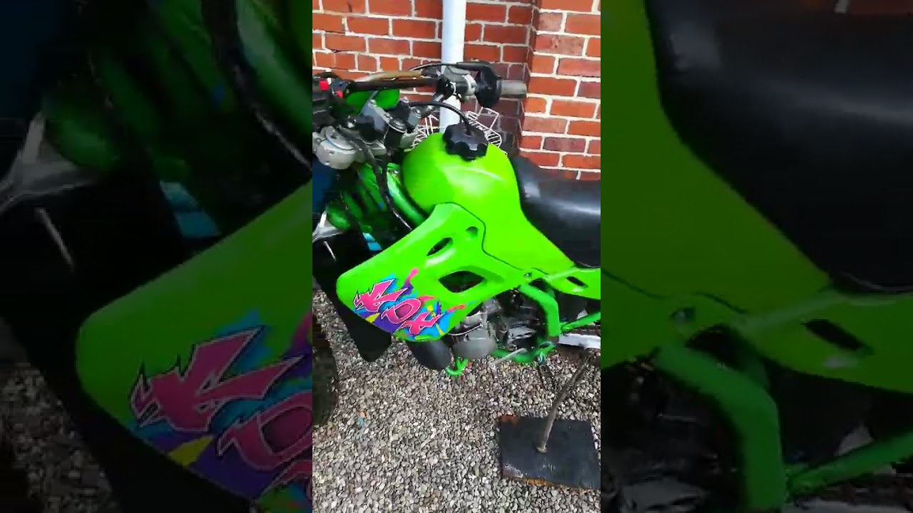 Kawasaki KDX250