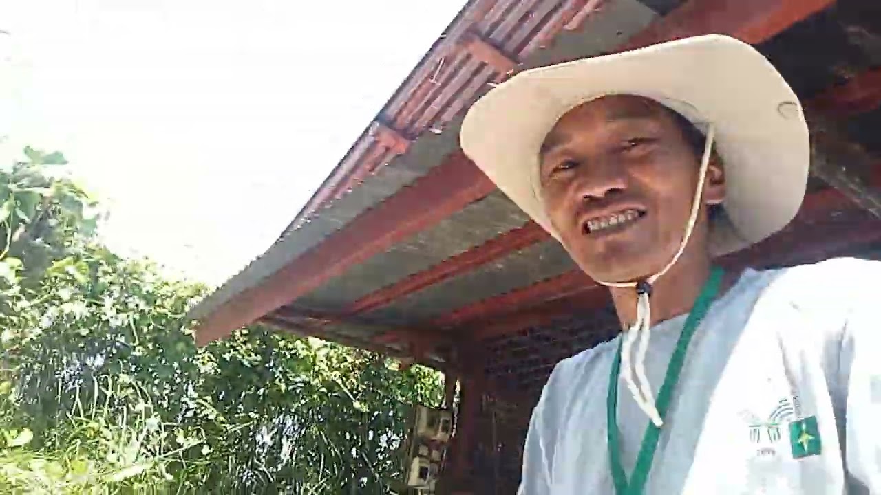 Part 2:Patok pag aalaga ng Manok 