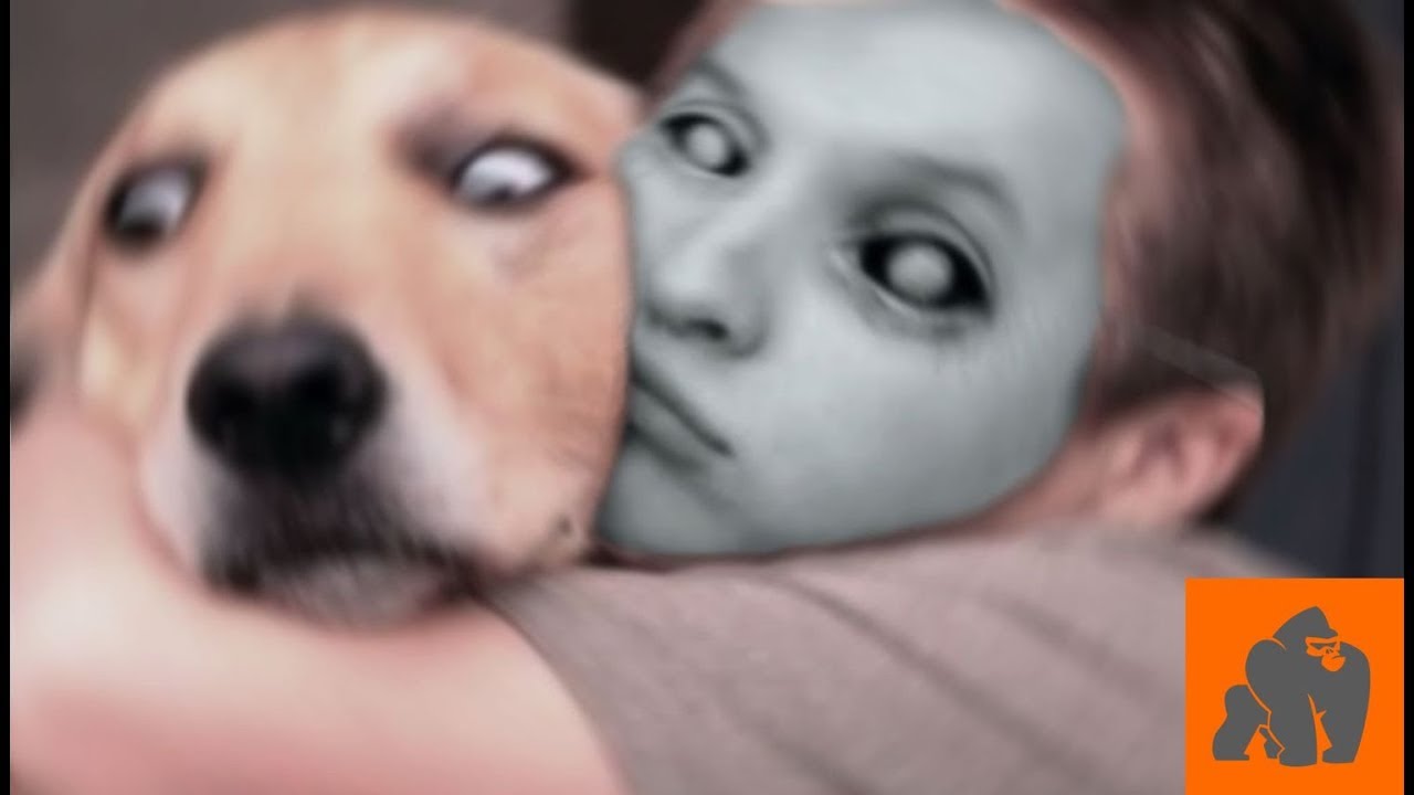 Funny Dogs Scared of Masks - Part 1