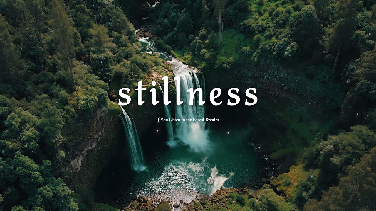 If You Listen to the Forest Breathe 🍃 Relaxing Piano Music for Healing & Inner Stillness
