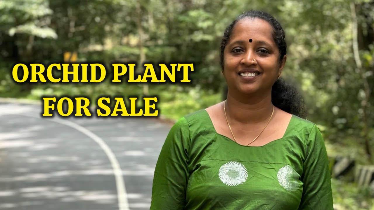 ORCHID PLANT FOR SALE || Anju‘sgarden || R-Perunad