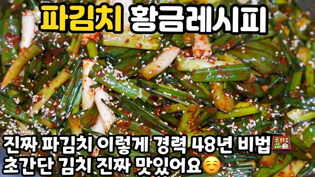 파김치 황금레시피 ☺️ 5분 완성 파김치맛있게담그는법 경력 48년 간단한 김치 비법 2026년 제철 김치