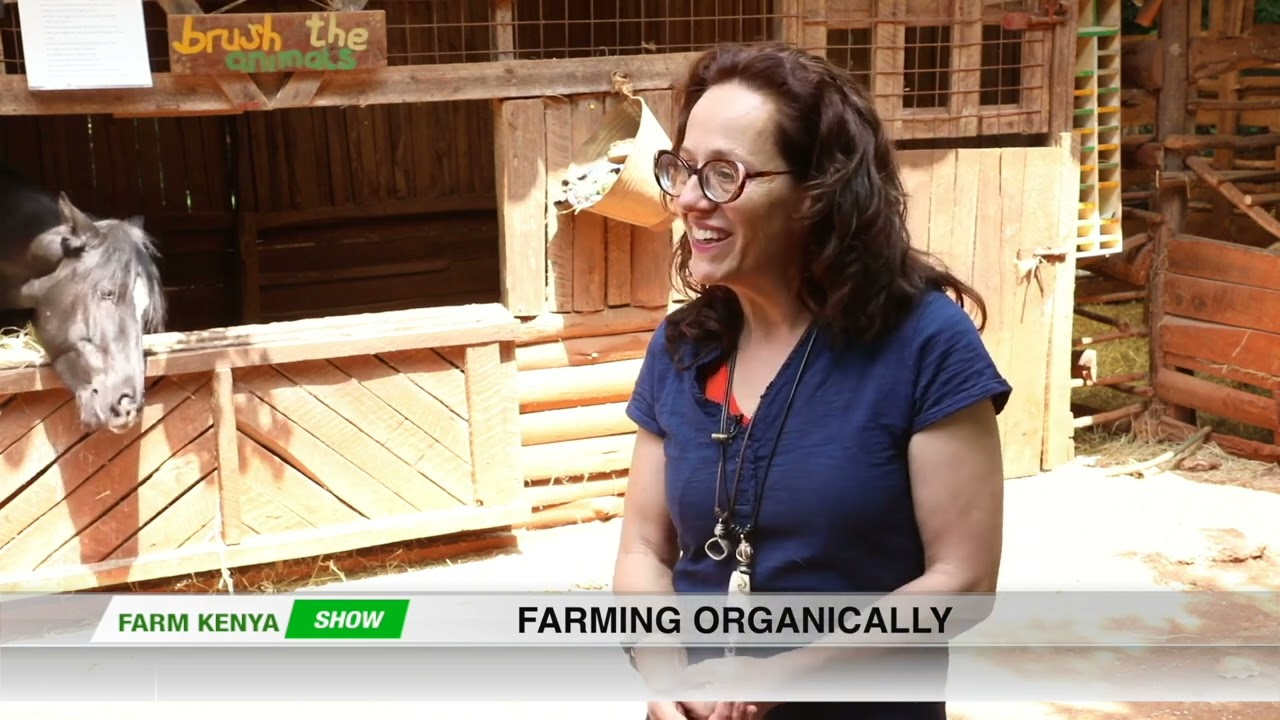 Zero Chemicals, Big Profits: Real Stories from Organic Farmers