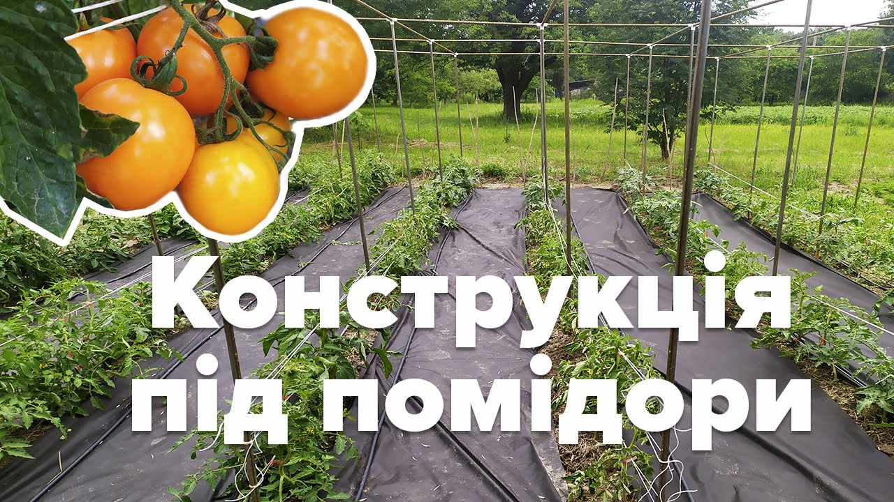 Конструкція для підв'язування помідорів і огірків