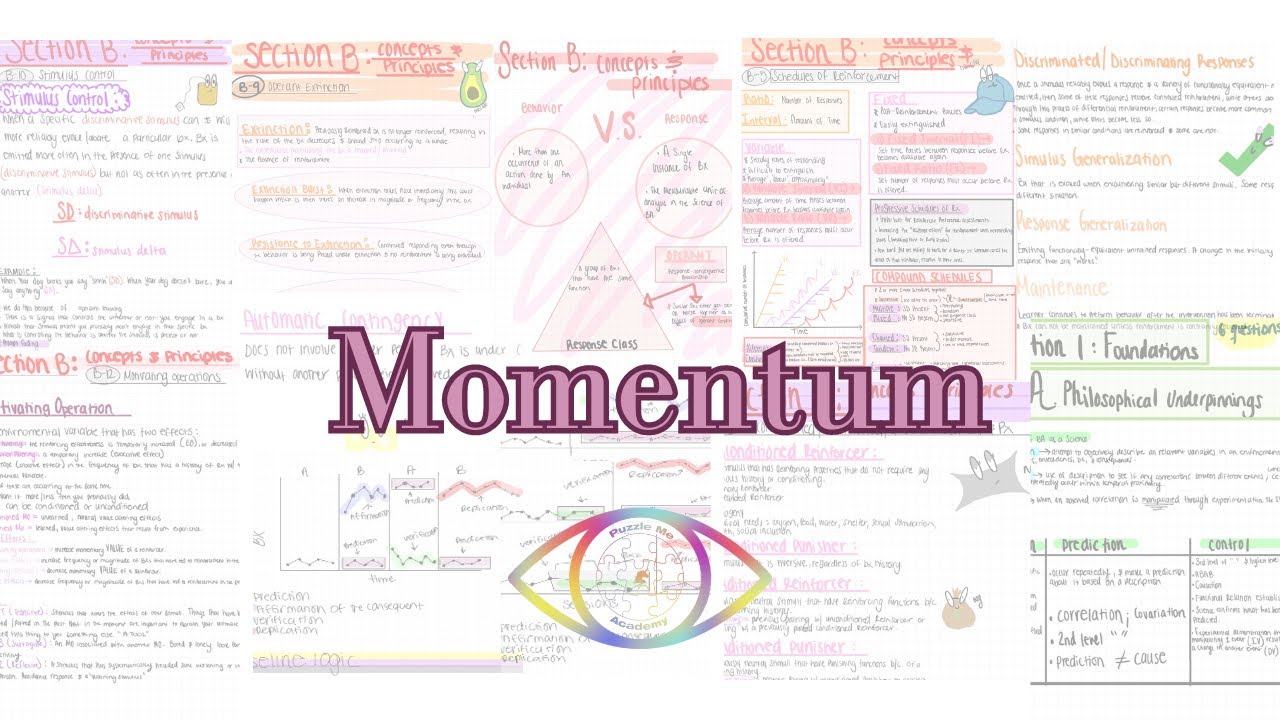 Momentum 5 | Reinforcer Assessment VS Preference Assessments