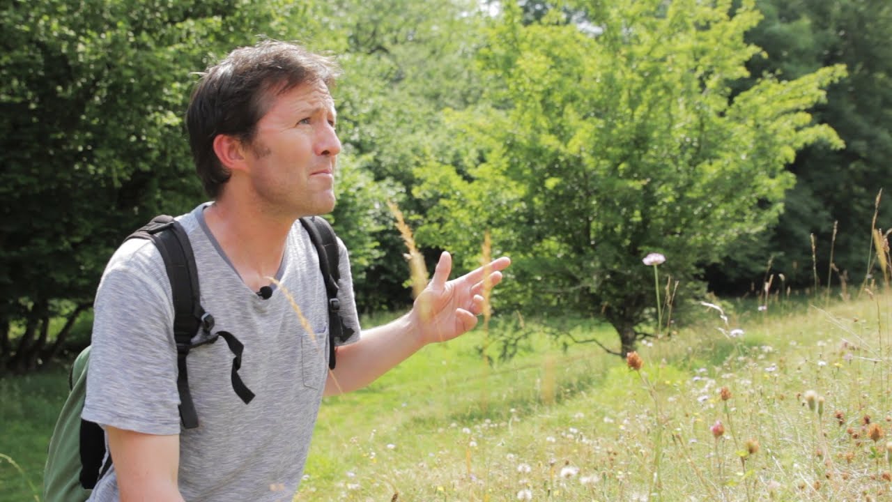 BBC Countryfile Magazine | Favourite Walks No. 2: The Cotswolds