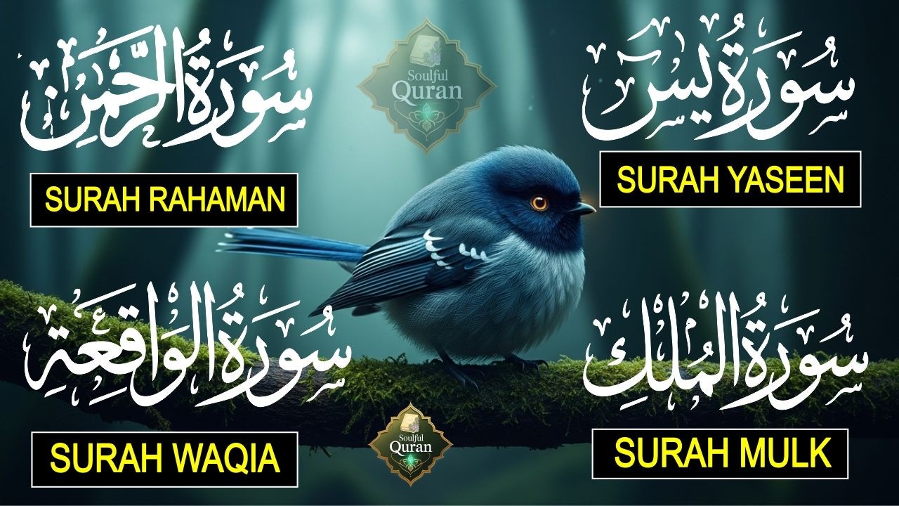 Most Beautiful recitation of Surah Yaseen | Surah Rahman | Surah Waqiah | Surah Mulk |EP 17