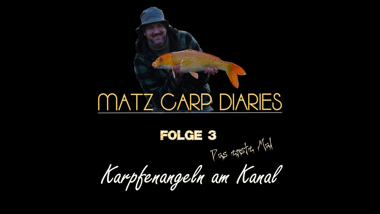 Karpfenangeln am Kanal 