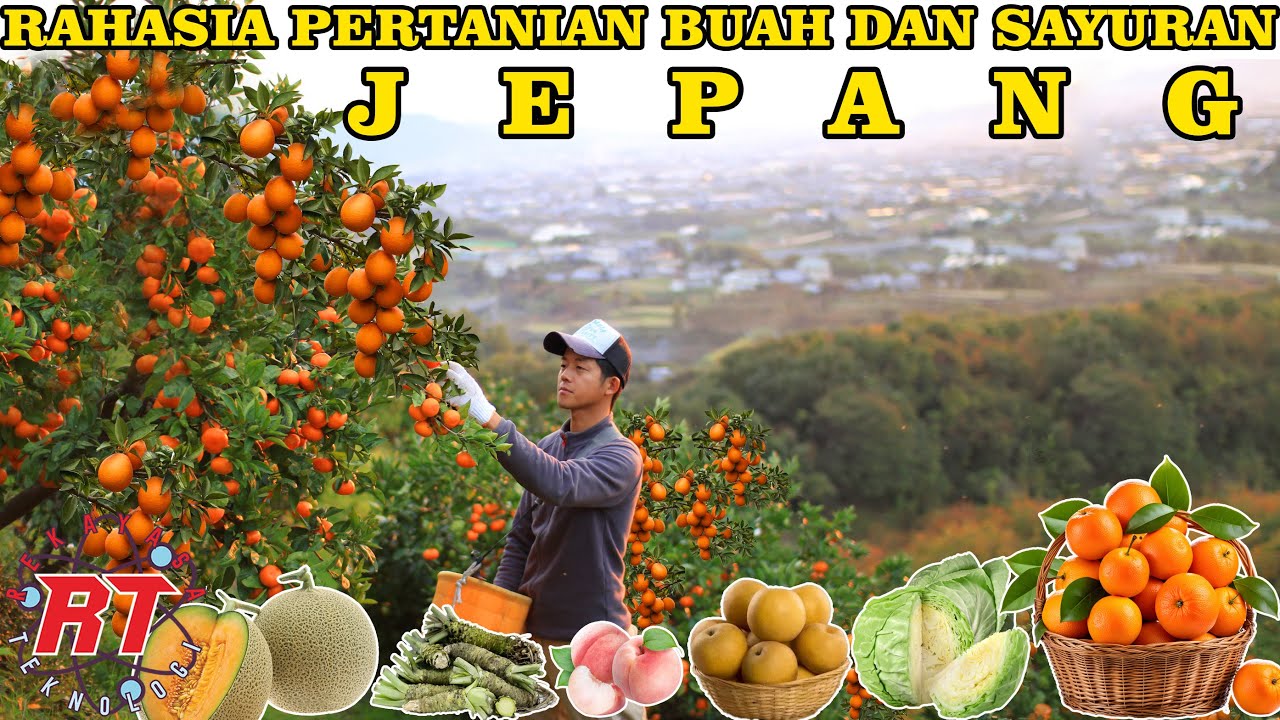 RAHASIA SUKSES MENANAM BUAH DAN SAYURAN ALA JEPANG YANG HARUS KAMU TAHU!