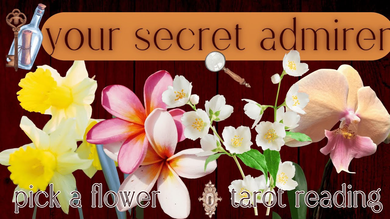 Who Has A Secret Crush On You? Their Next Move? What's Next?🌹| Pick A Card Tarot Reading For Love
