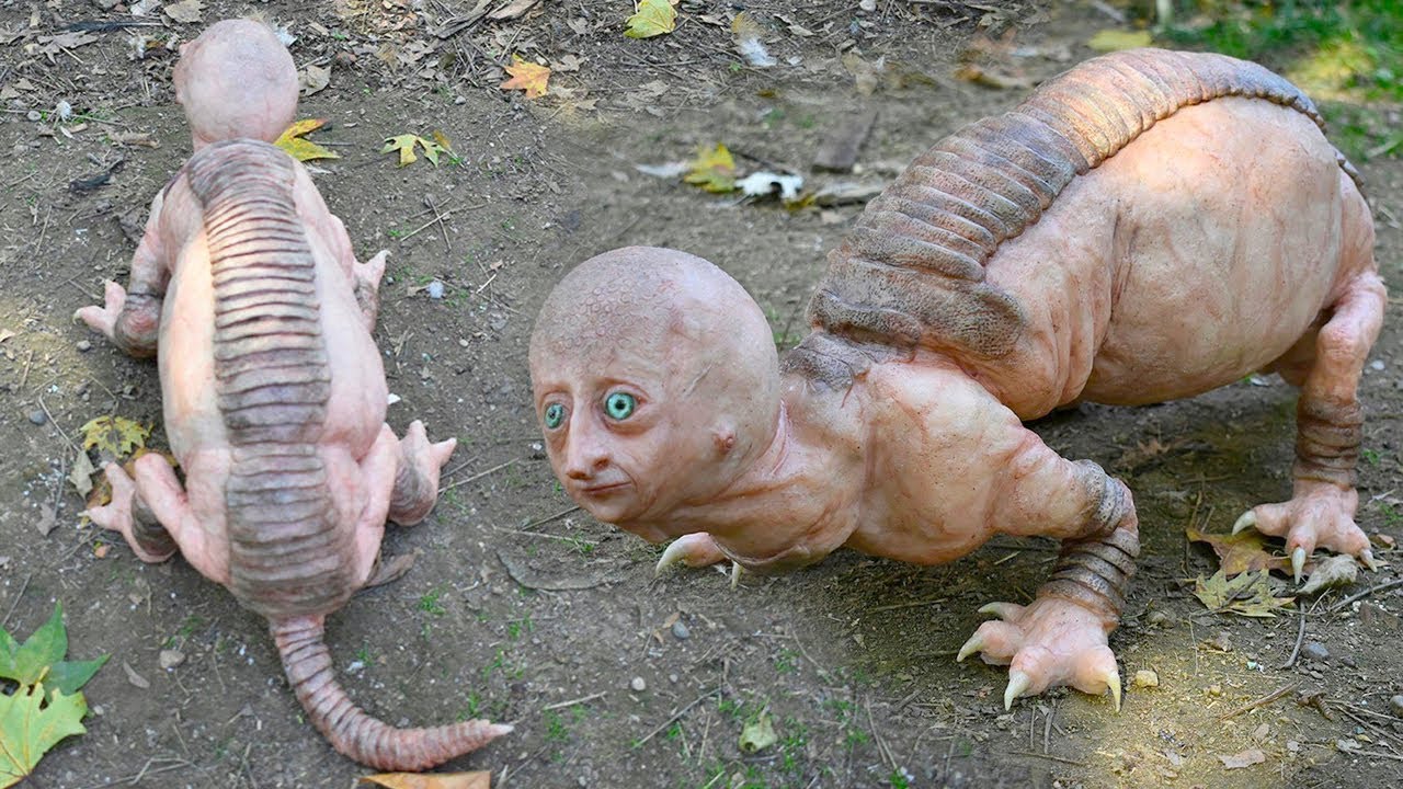 Top 10 Animales Que Nacen Solo Una Vez Cada Mil A&ntilde;os