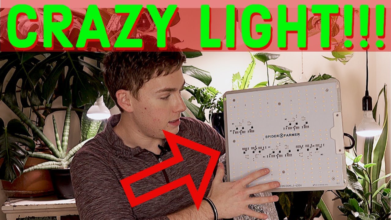 NEW GROW LIGHT |  SPIDER FARMER LED Grow Light!