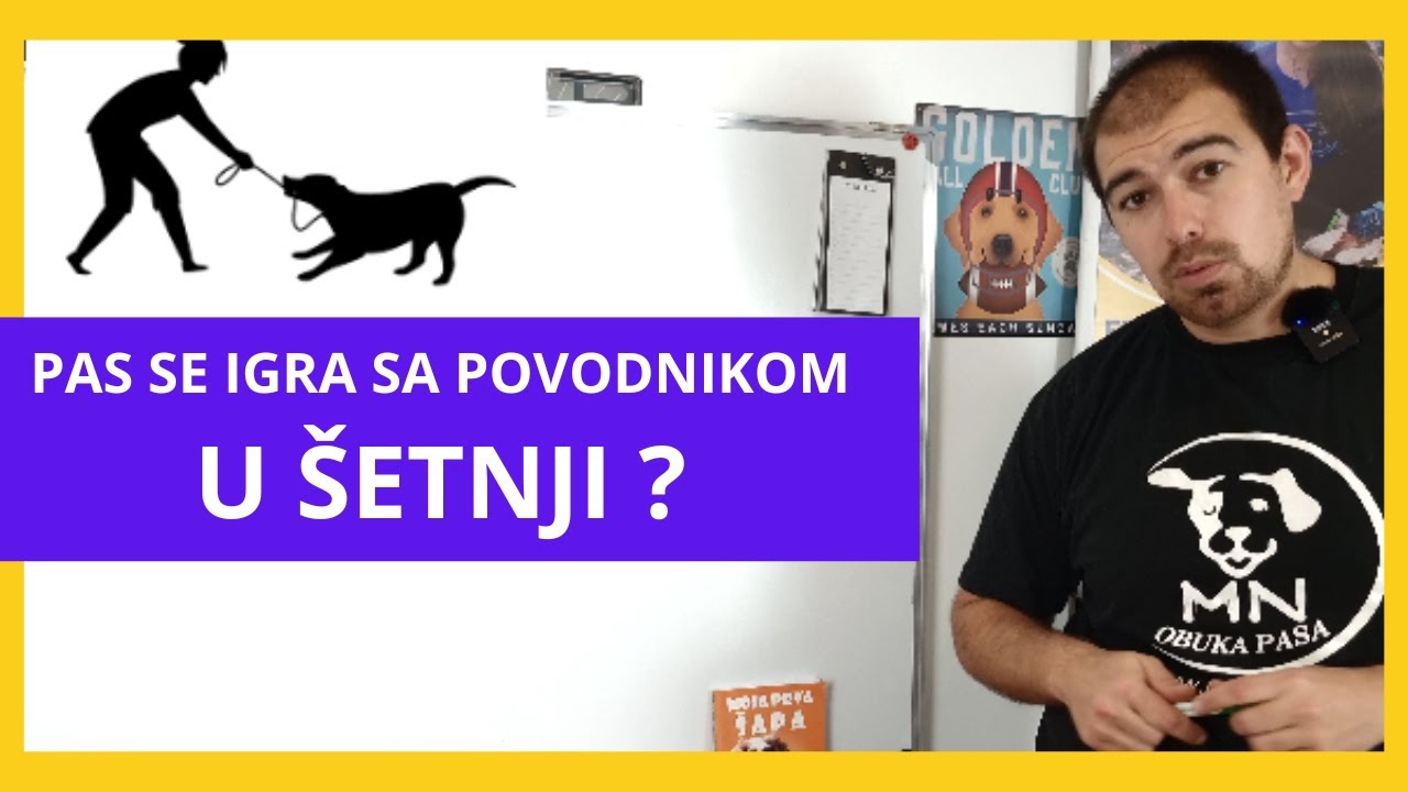 PAS / ŠTENE GRIZE POVODAC U ŠETNJI - REŠI PROBLEM