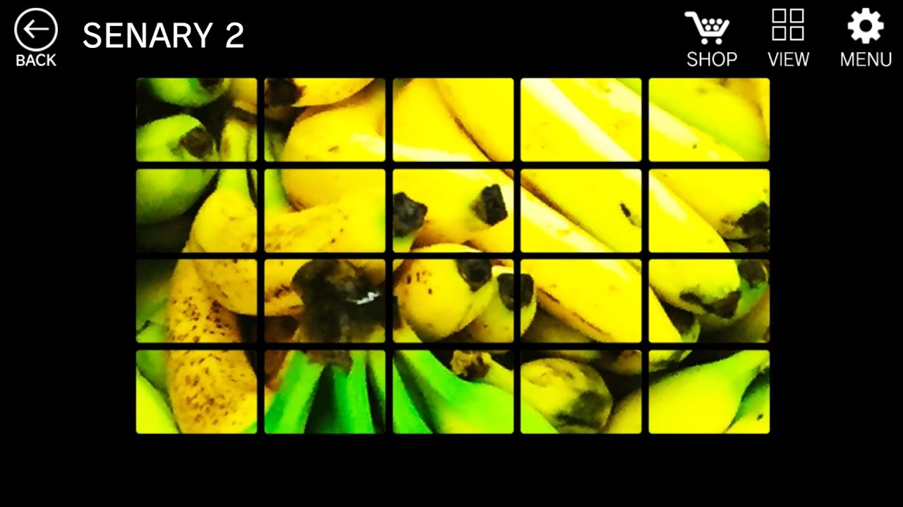 Senary 2 Completion #qdidit #games 