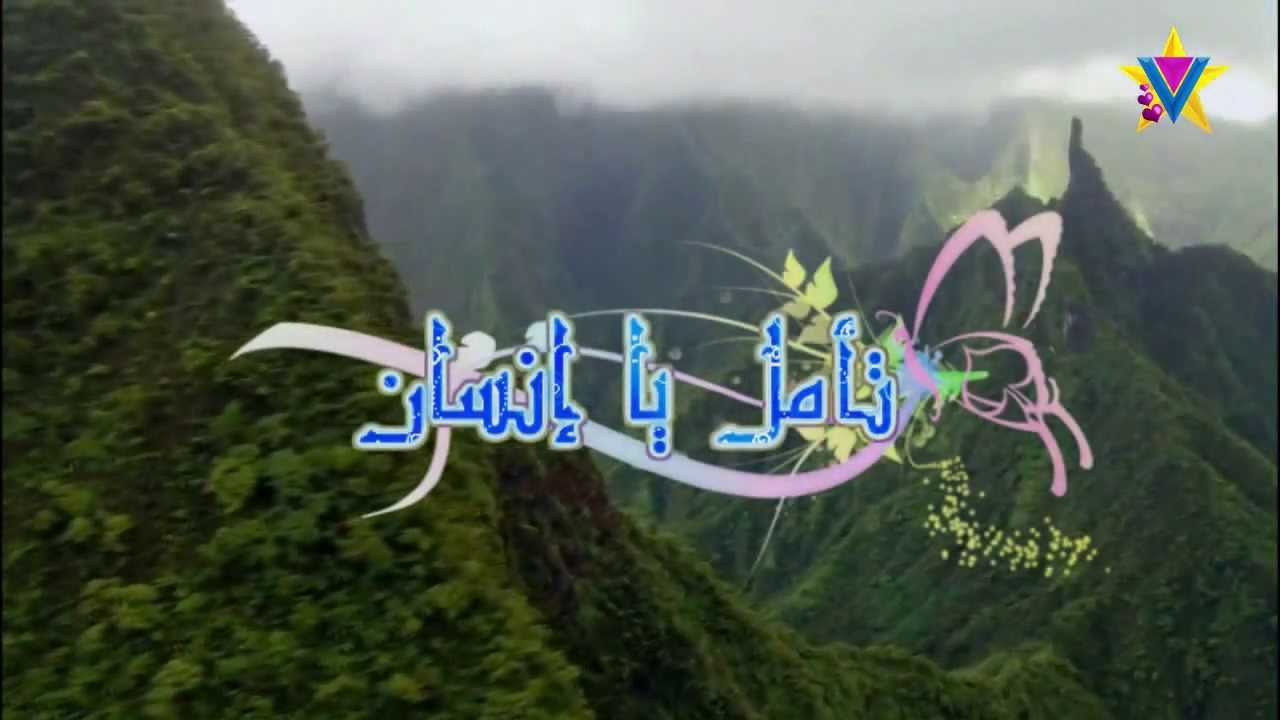 تأمل يا إنسان - هدى المختاري