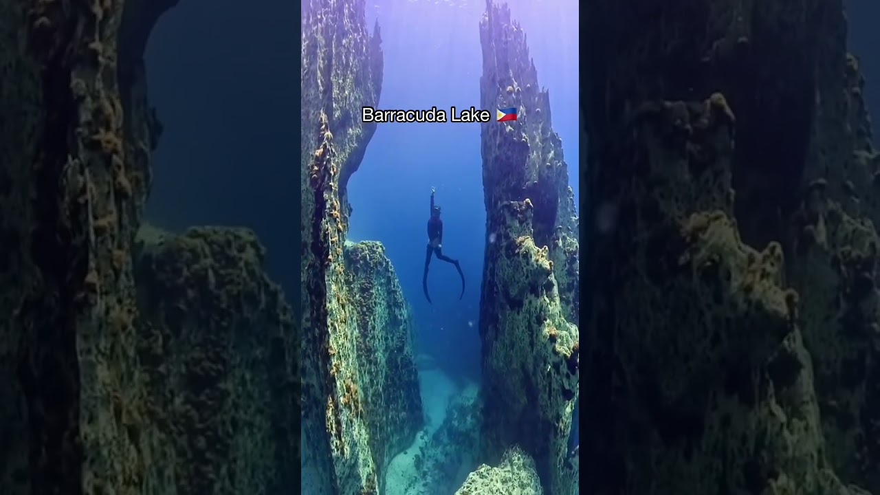 Most Beautiful Places in Philippines 🇵🇭 | #shorts #travel #explore #nature #viral #adventure