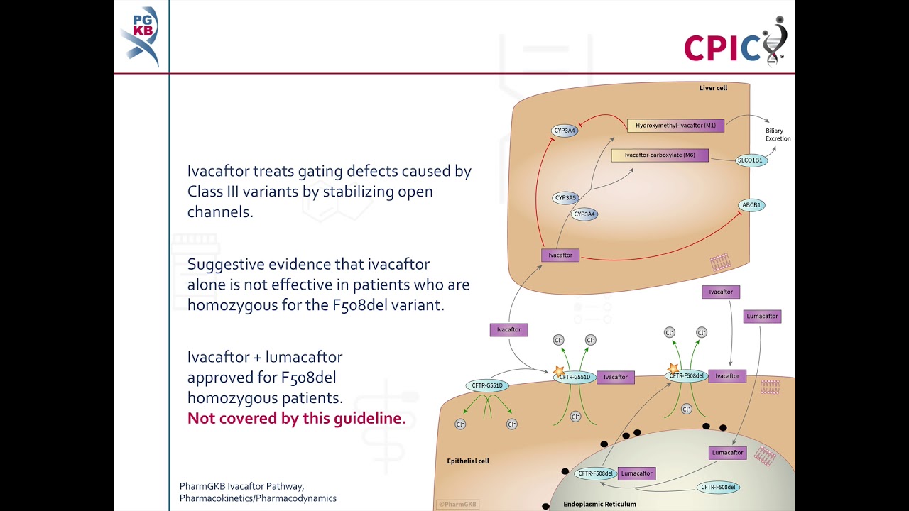 CPIC guideline for Ivacaftor and CFTR