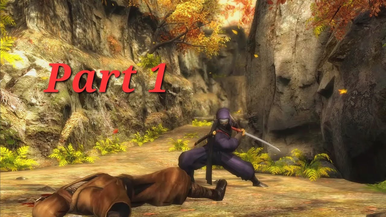 HERE WE GO, SHOWING HOW BIG MY NUT IS ON VIDEO - Ninja Gaiden Sigma Part 1