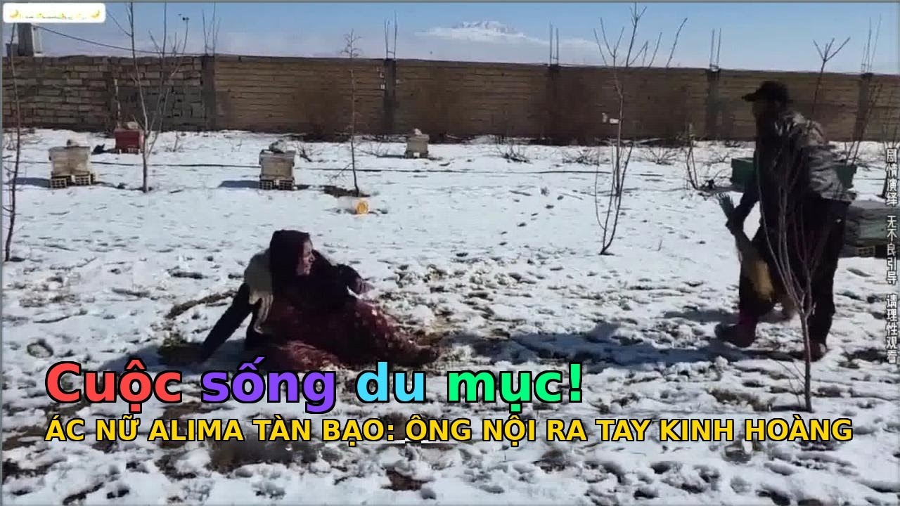 Milad và halina - TẬP 348 - 369: Ác nữ Alima điên cuồng đánh gục Hà Lâm Na – Cả nhà nổi giận, ông nộ