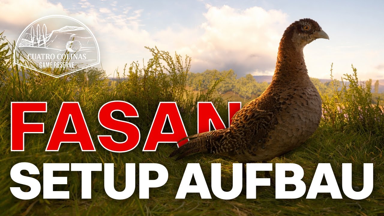 Setupaufbau für Fasanenjagd in Cuatro Colinas - Das Vogeljahr in theHunter COTW