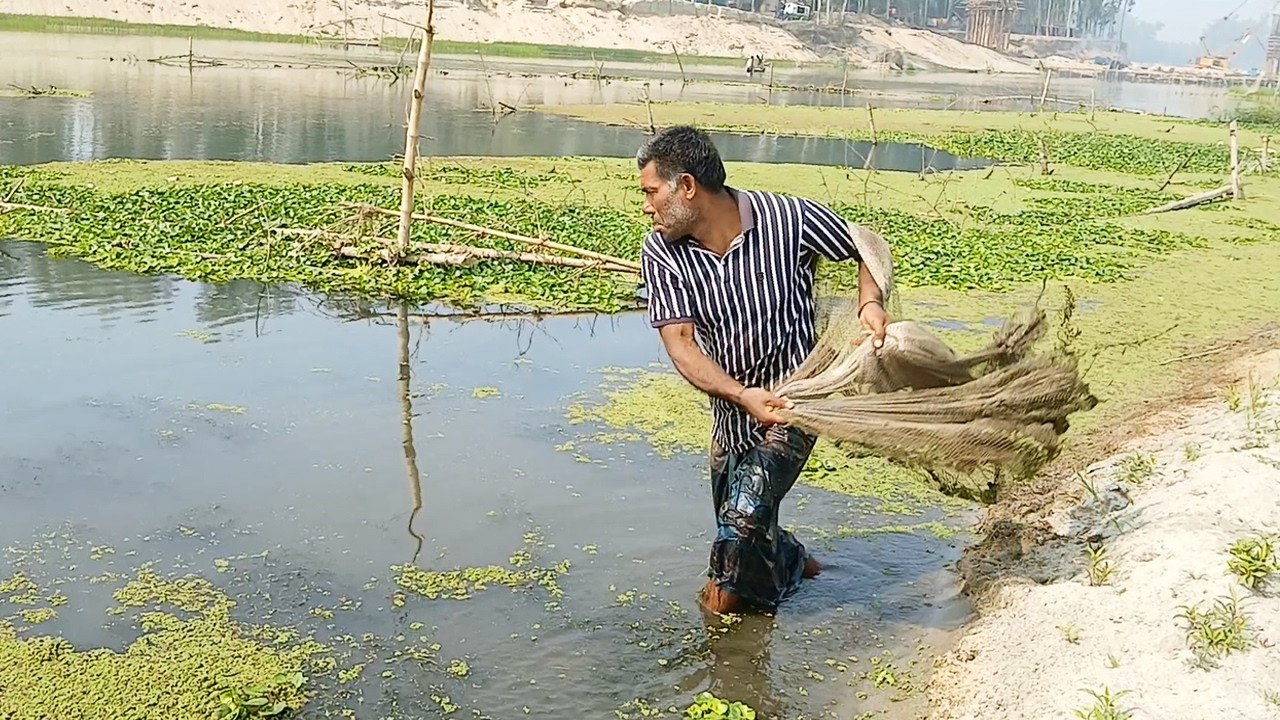 Amazing Fishing by Hardworking Fisherman - Best Cast Net Fishing - Village Best Net Fishing Video