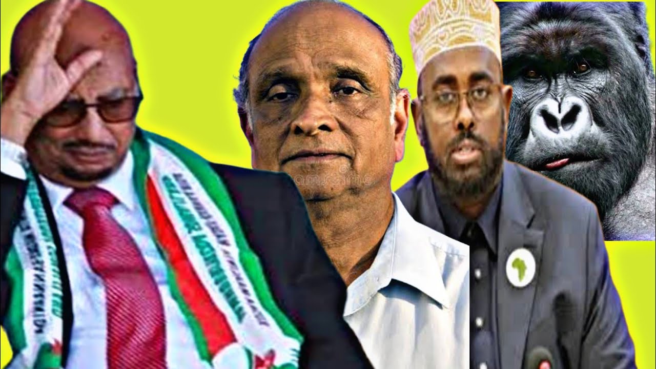 Daawo faysal Cali Waraabe Oo La Ogaaday in uu Somali Eheen Gaal Hindi ah ayaa,Buurmadow Gurile ayaa