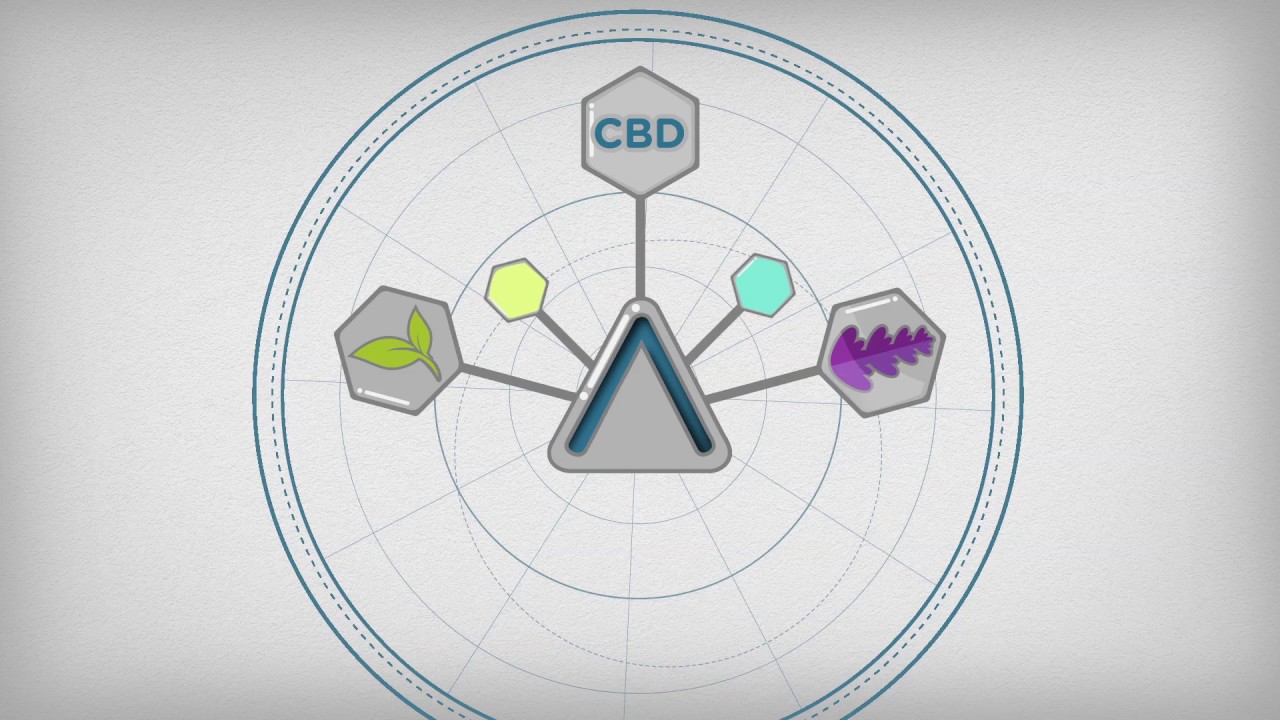 The Future of Hemp-Derived CBD