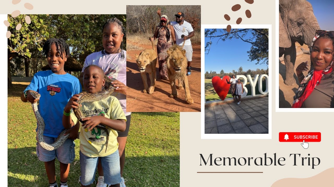  We Walked with LIONS & Fed ELEPHANTS in Africa 😱 | (Zambia + Zimbabwe) Travel Vlog🐘🦁 