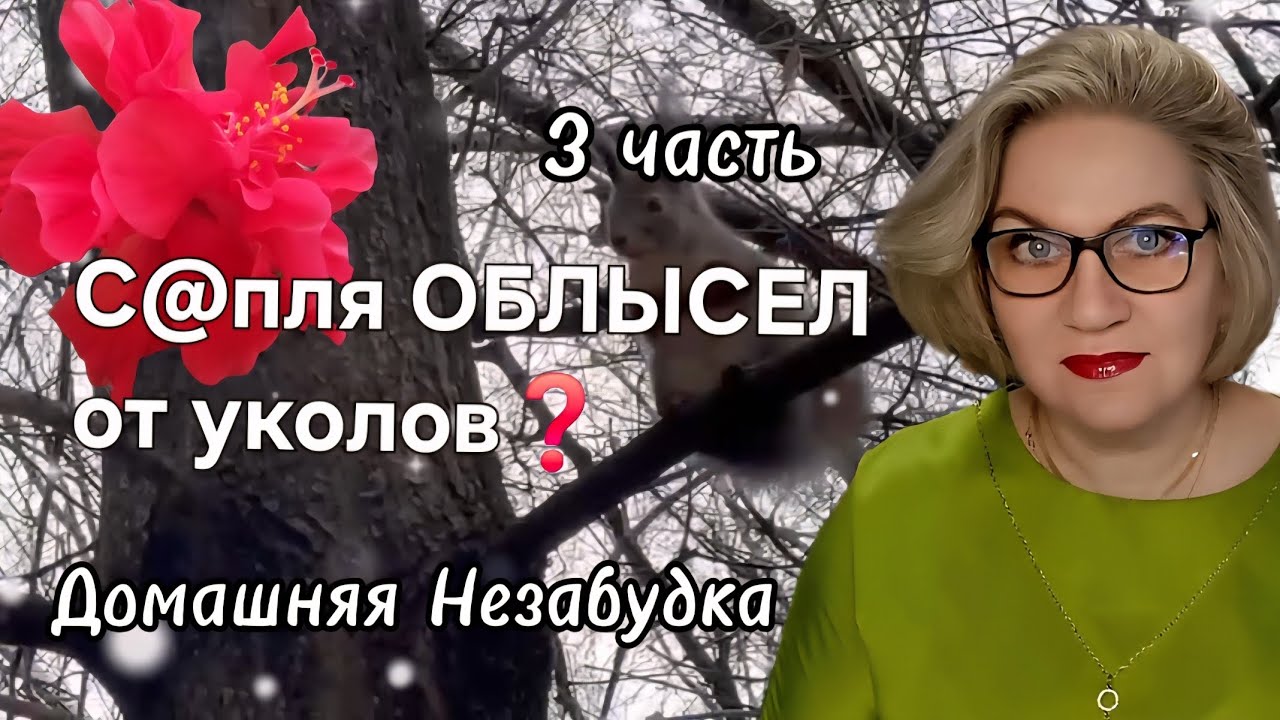 С@пля ОБЛЫСЕЛ от уколов❓️