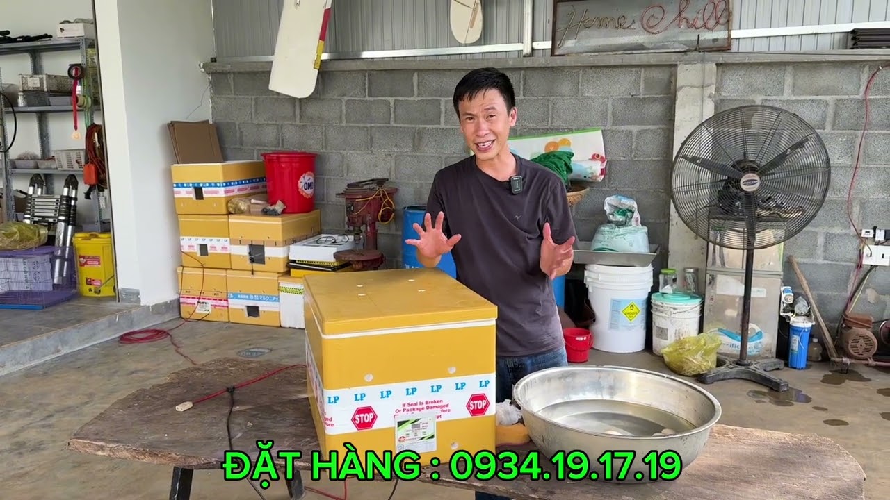 Ngâm trứng và để 1 tháng rồi với ấp nở 10/10 với máy ấp này
