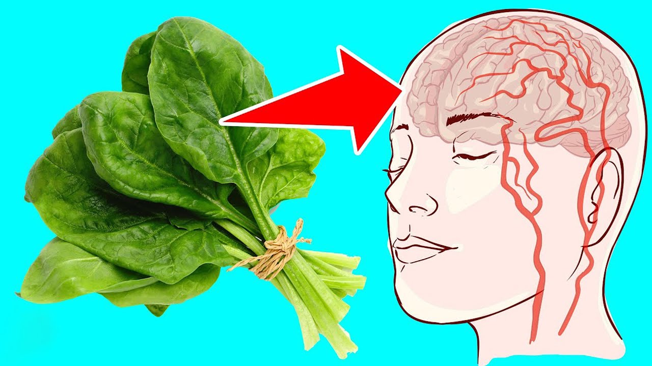 همه خواص و فواید اسفناج که حتما باید بدونید | خواص اسفناج