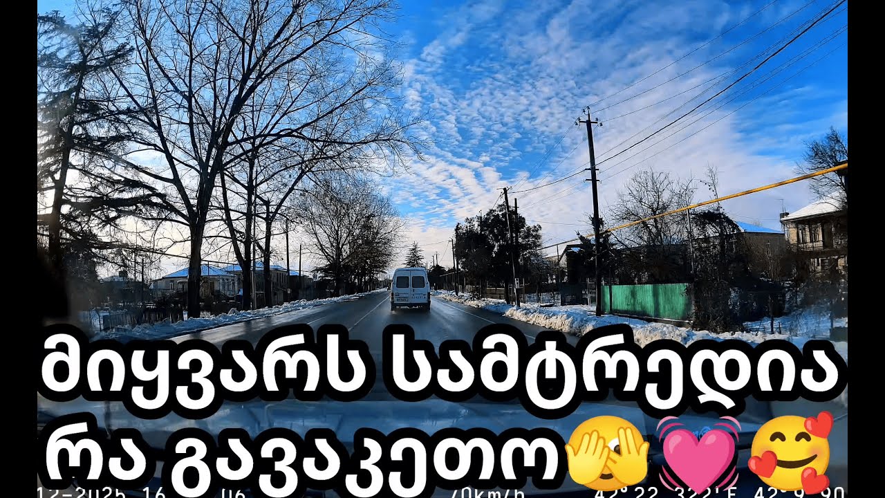 დღიური დაკვირვება #10 სამტრედიისკენ ჰერი ჰერი, ლამაზი პეიზაჟები და ტკბილი დედის ხმა 🥰