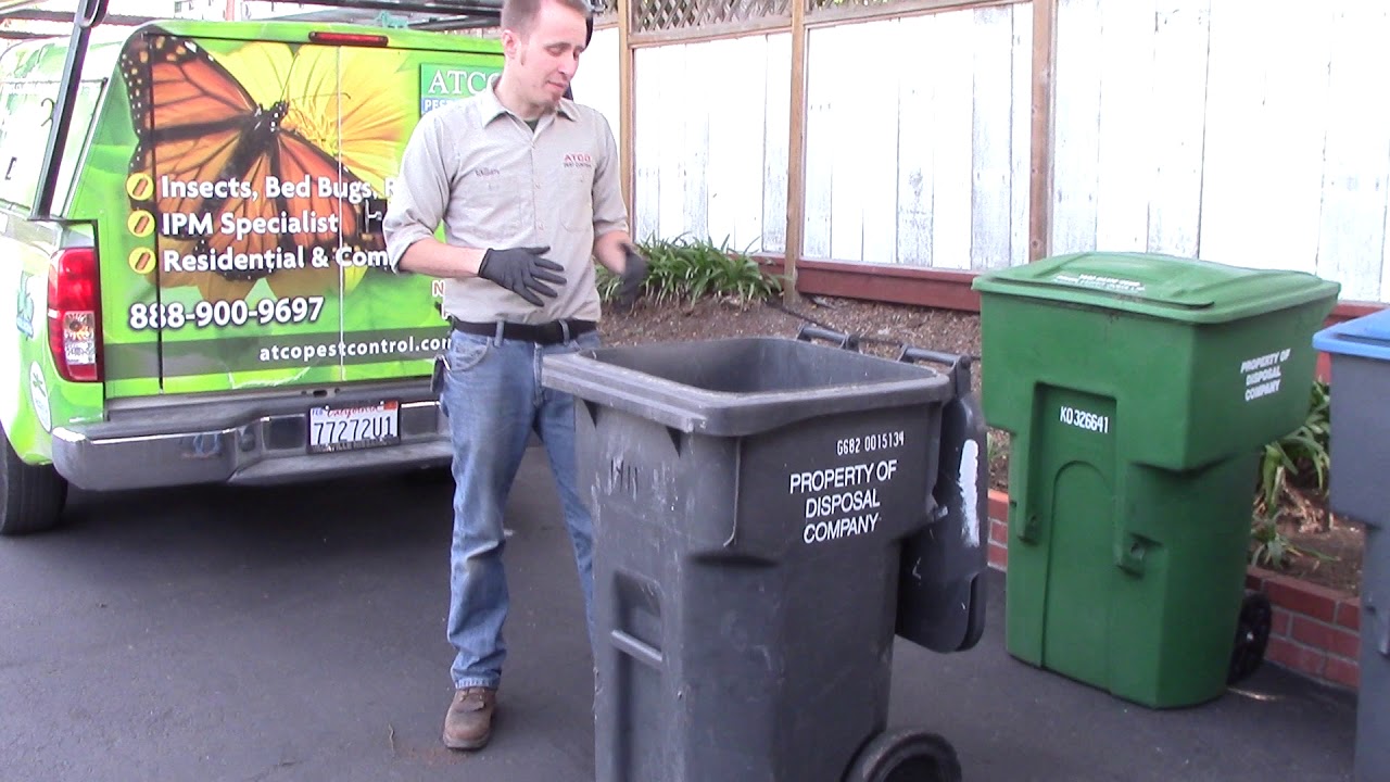 Inspecting For Rodent Problems At Home Part 4 - Trash Cans - Atco Pest Control