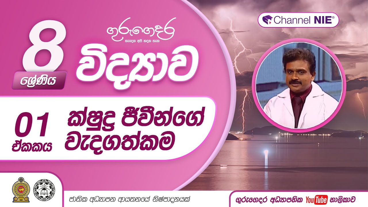 ක්ෂුද්‍ර ජීවීන්ගේ වැදගත්කම - 8 ශ්‍රේණිය (විද්‍යාව)