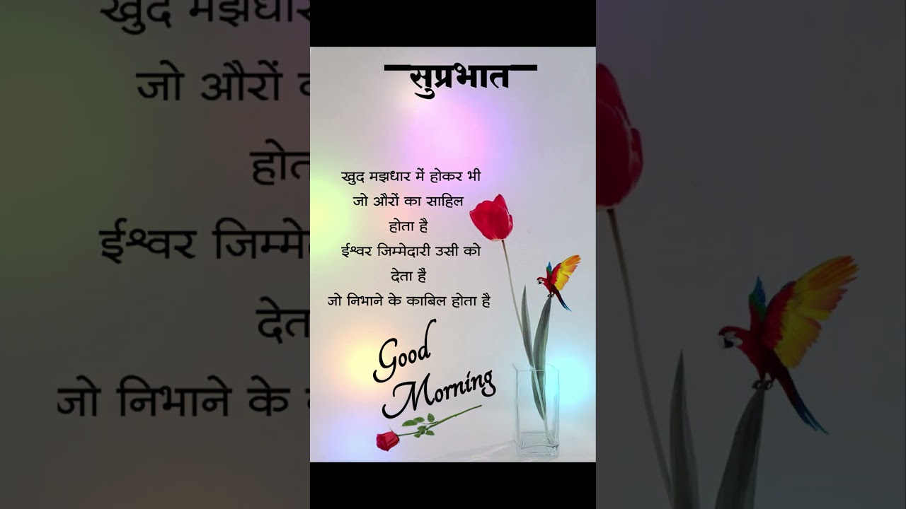 Good Morning Status - WhatsApp Good Morning Status Video