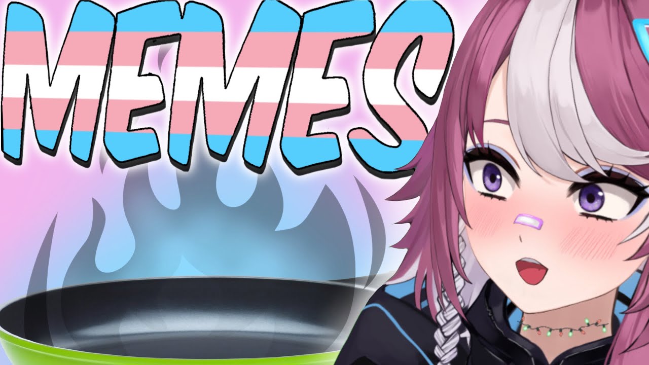 Hottest TRANSGENDER MEMES!!!