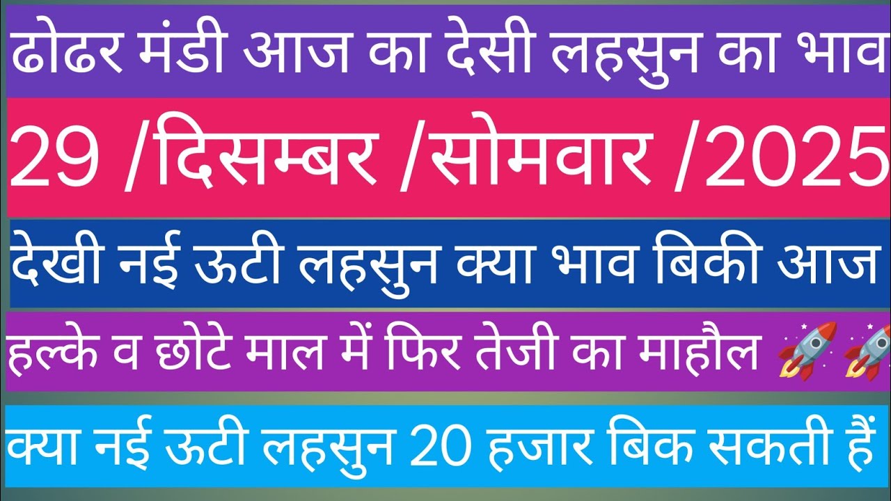 ढोढर मंडी आज का लहसुन का भाव// Dhodhar Mandi Aaj Ka Lahsun Ka Bhav // 29/12/2025 सोमवार 