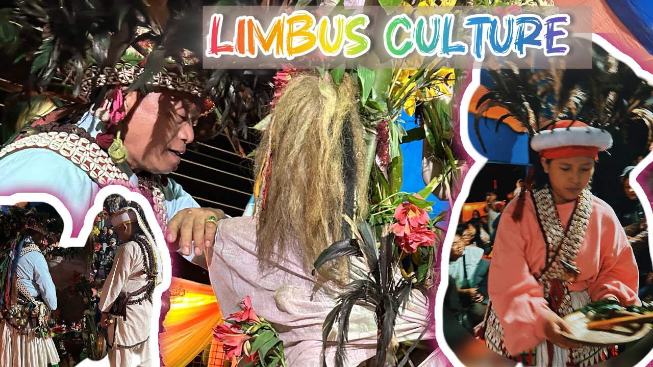 Sikkim Culture/Limbu Culture II Tradition ✌️❣️#limbuculture #tradition #trendingvedio #viralvideo