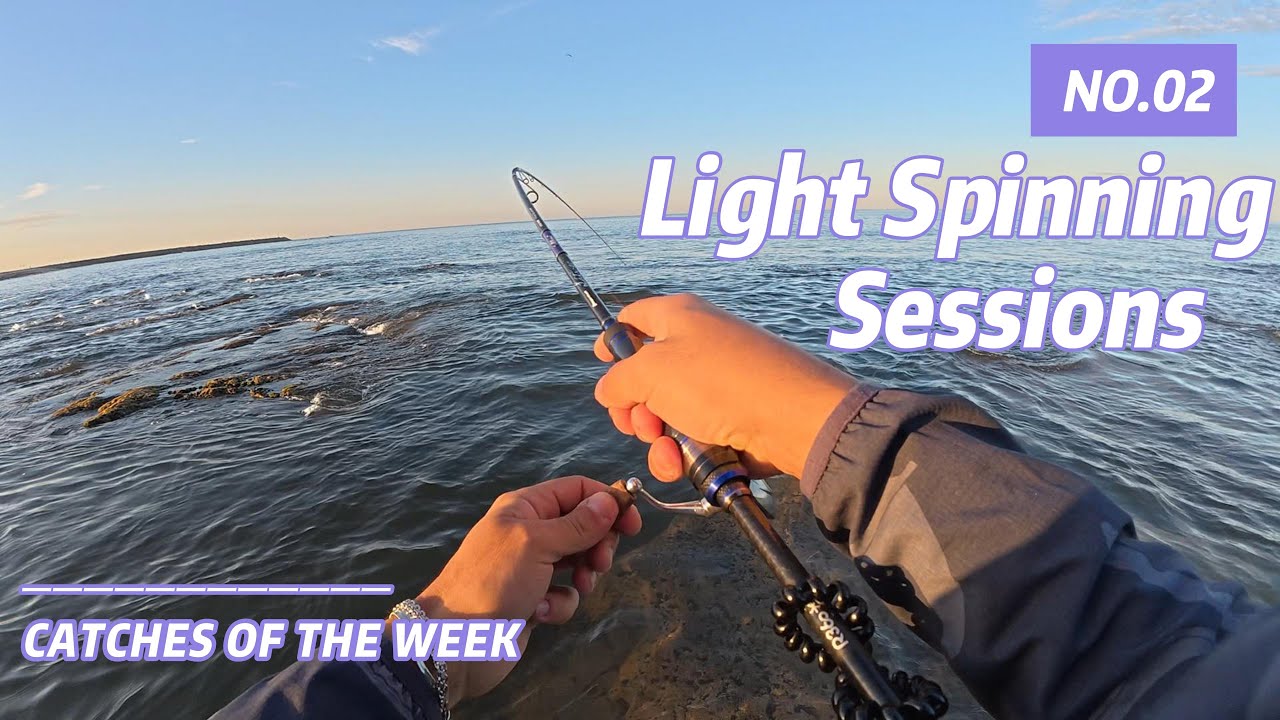 First catches of November - LIGHT SPINNING SESSIONS #02