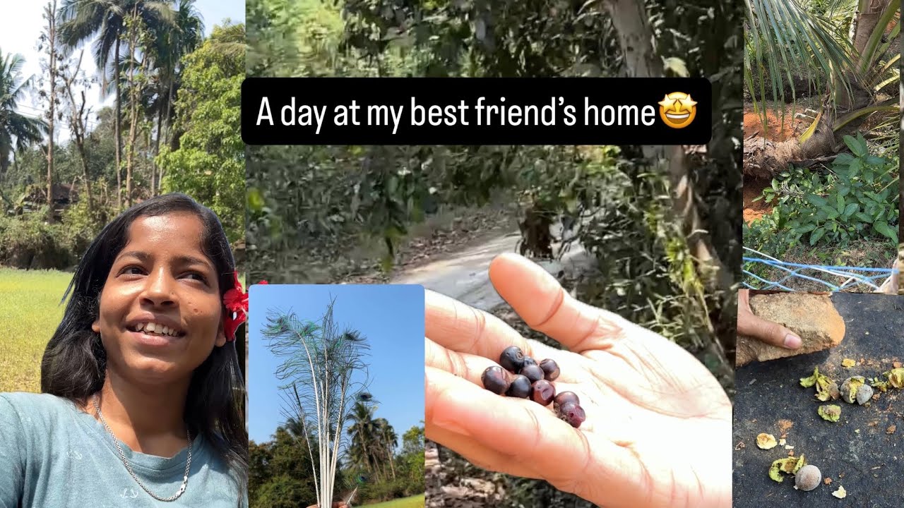 A day at my best friend’s place🤩 | A day with nature 🌝 | mixing of languages 😂
