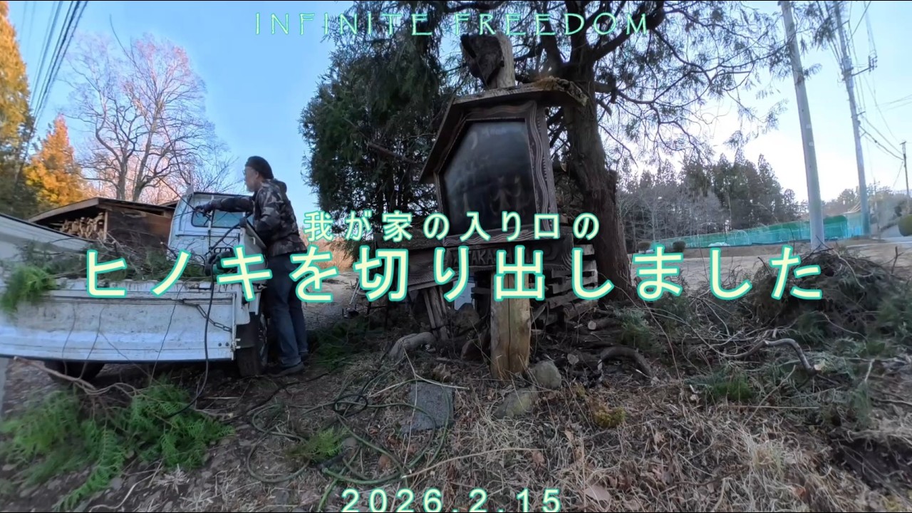 入り口のヒノキを少し切りました