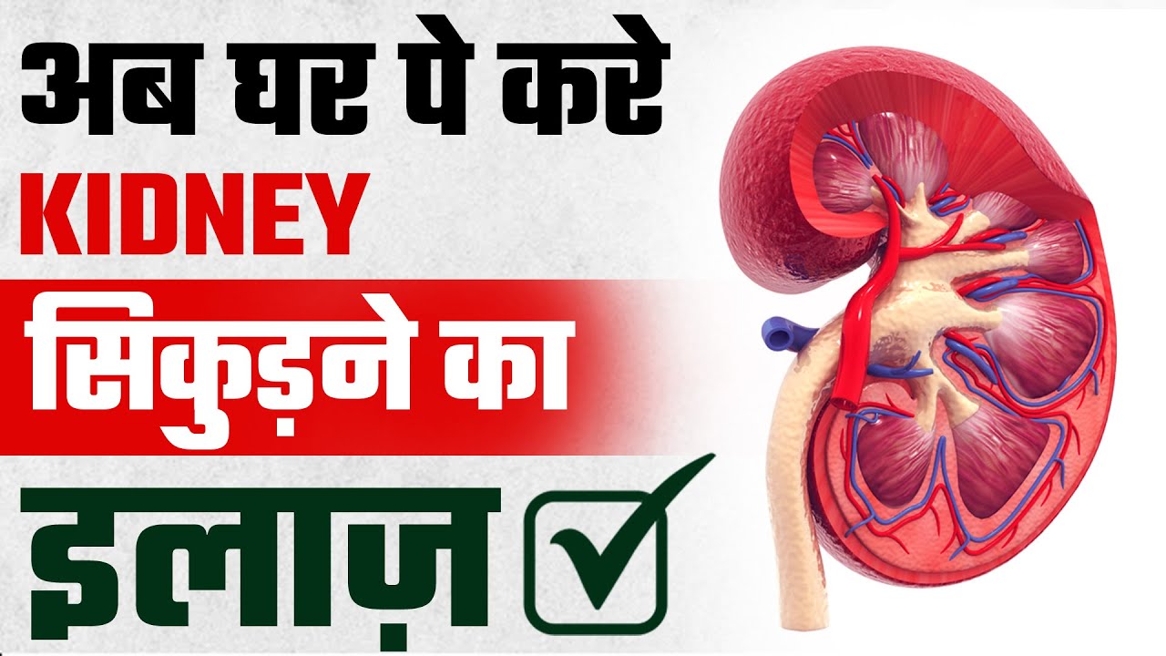 किडनी सिकुड़ने का इलाज़ | Reasons of Kidney Shrinkage | Explained in Hindi