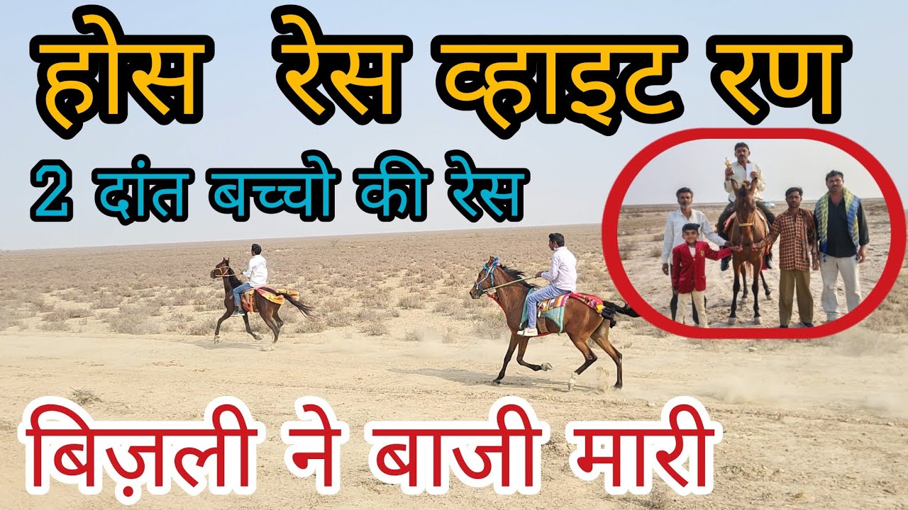 होस  रेस व्हाइट रण || 2 दांत बच्चो की रेवाल रेस  #HORSERACEWHAITRAAN2025 #race #rewal #chal #horse