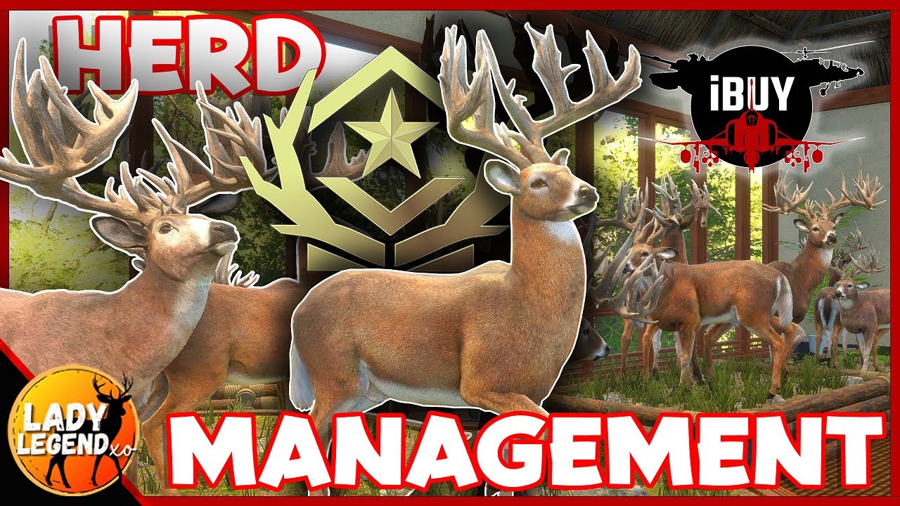 How to Spawn MULTIPLE WHITETAIL GREAT ONES With HERD MANAGEMENT! - Call of the Wild